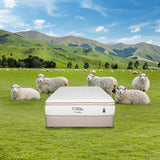Ortho Woolfit Mattress - NEW ZEALAND BED COMPANY
