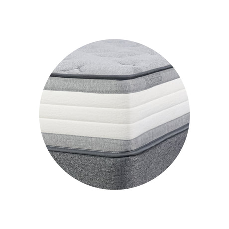 Aurora Mattress - NEW ZEALAND BED COMPANY