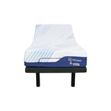 Naptime Active Mattress and Bed Set - NEW ZEALAND BED COMPANY