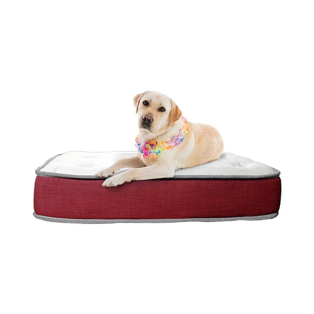 Slumberzone Pet Bed - SLEEP CITY NZ 